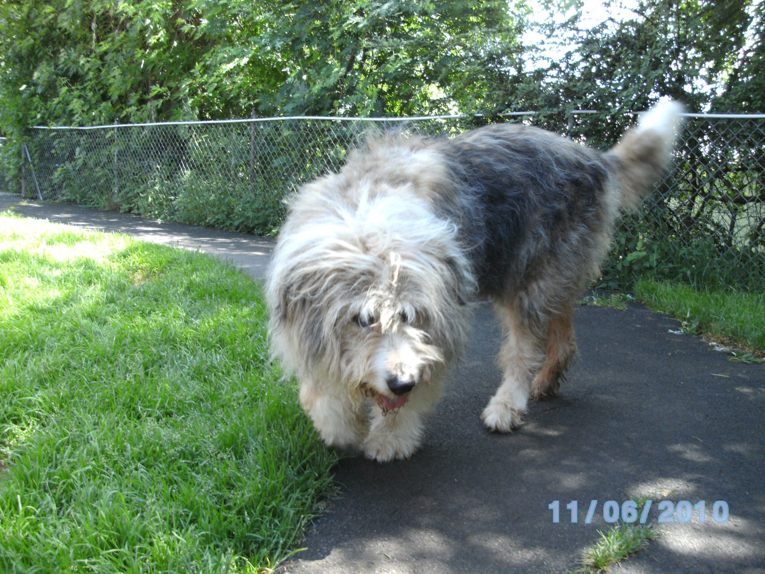 Max 11.6.2010