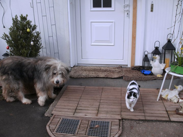 Max und sein Freund Pünktchen