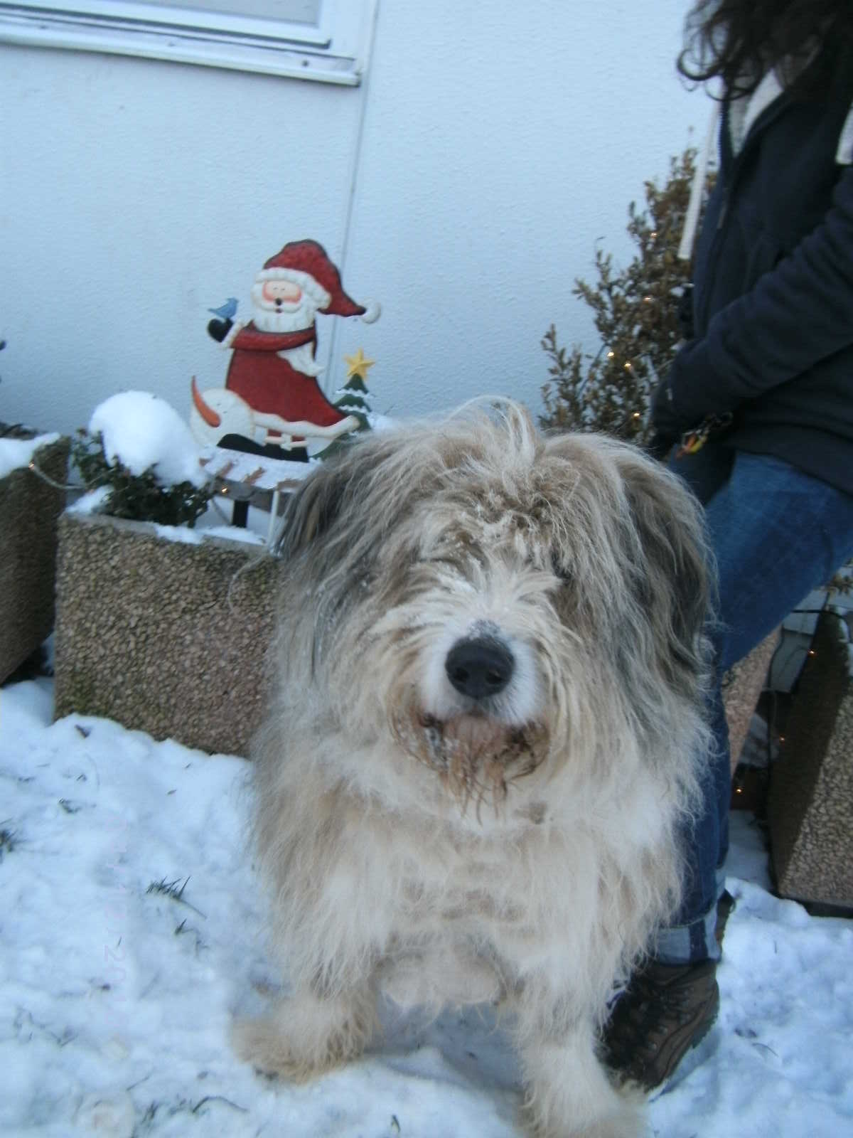 Max Weihnachten 2010
