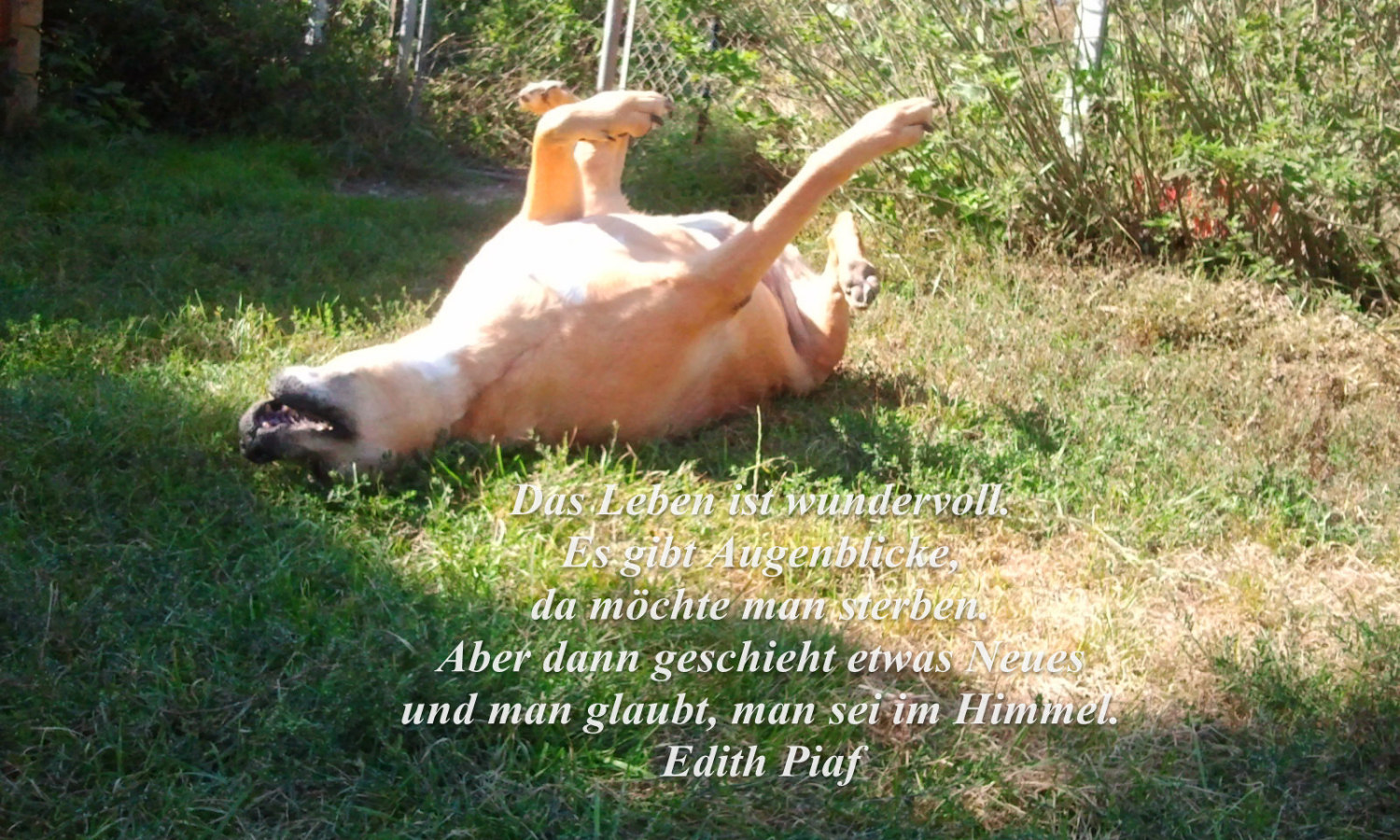 Trixi freut sich des Lebens
