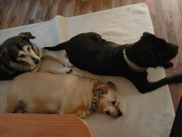 Trixi mit Charlotte und Lisa