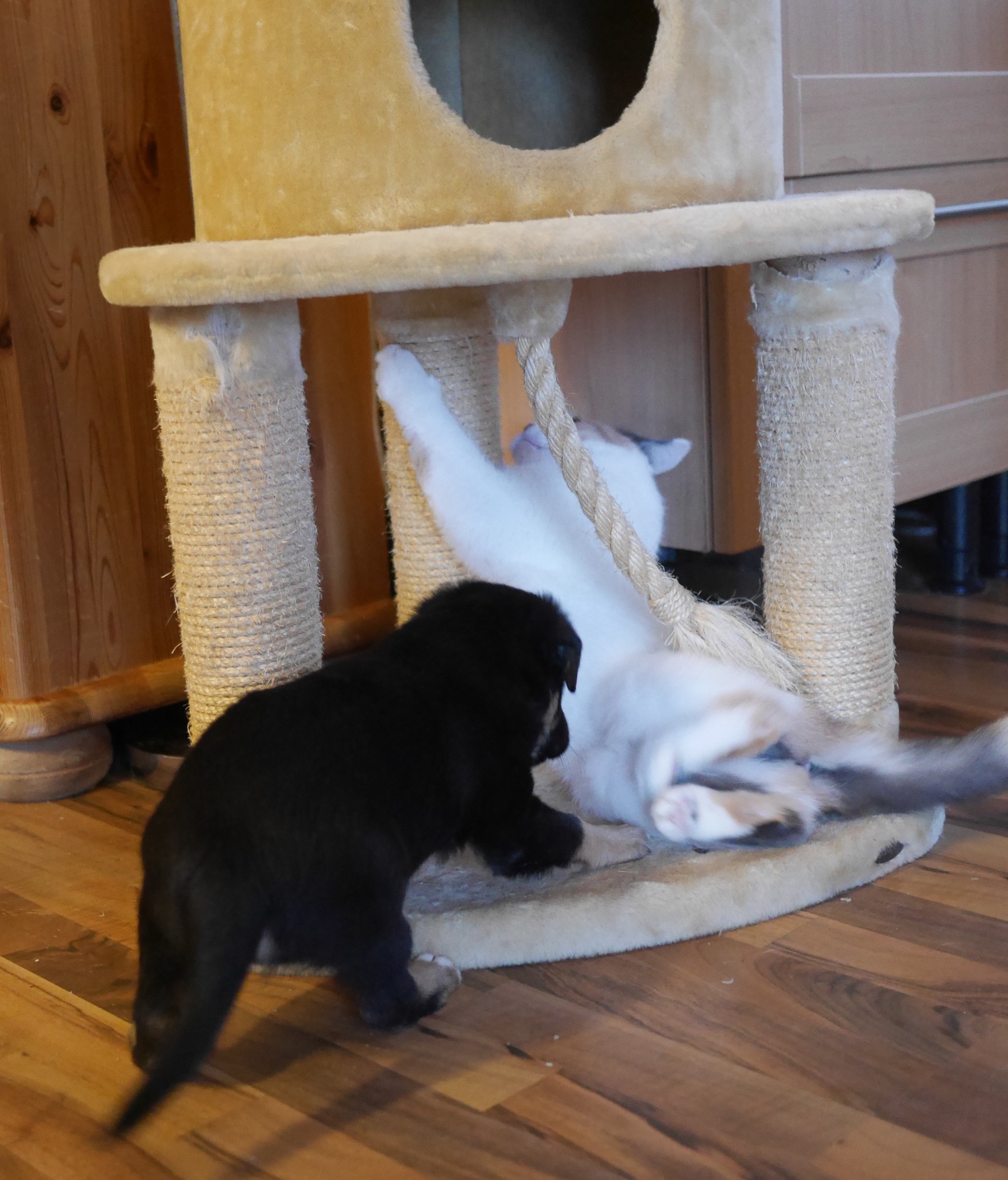 Billy und Rosa