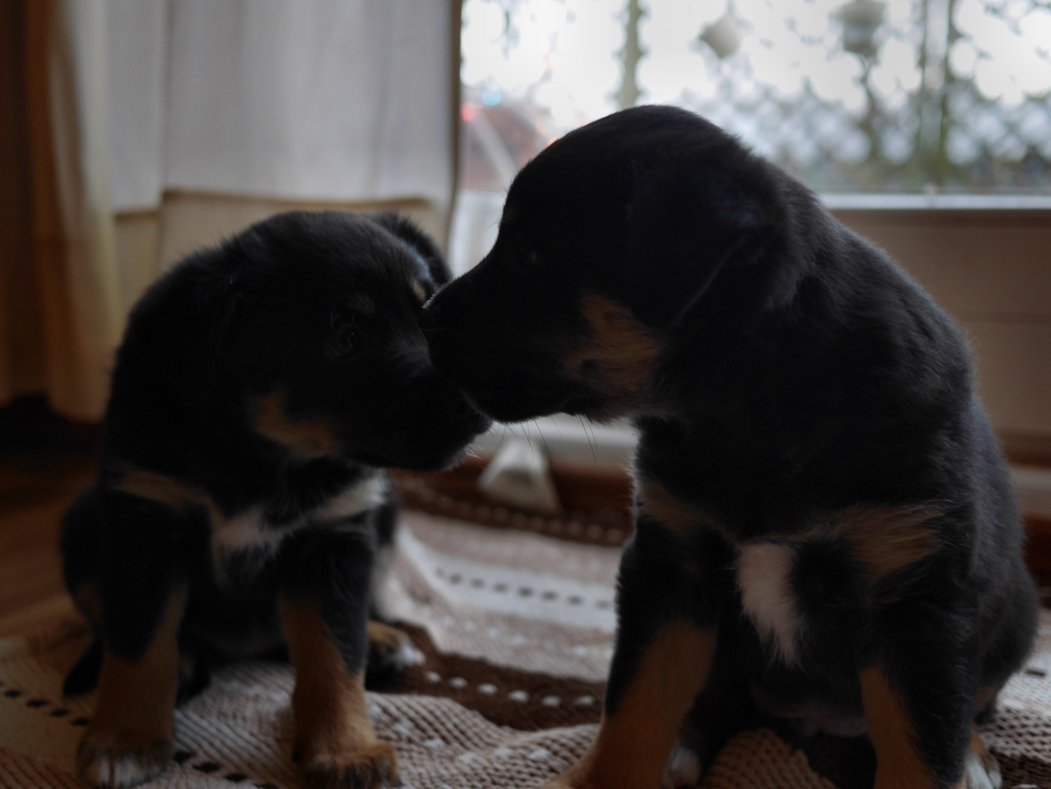 Billy und Roswitha