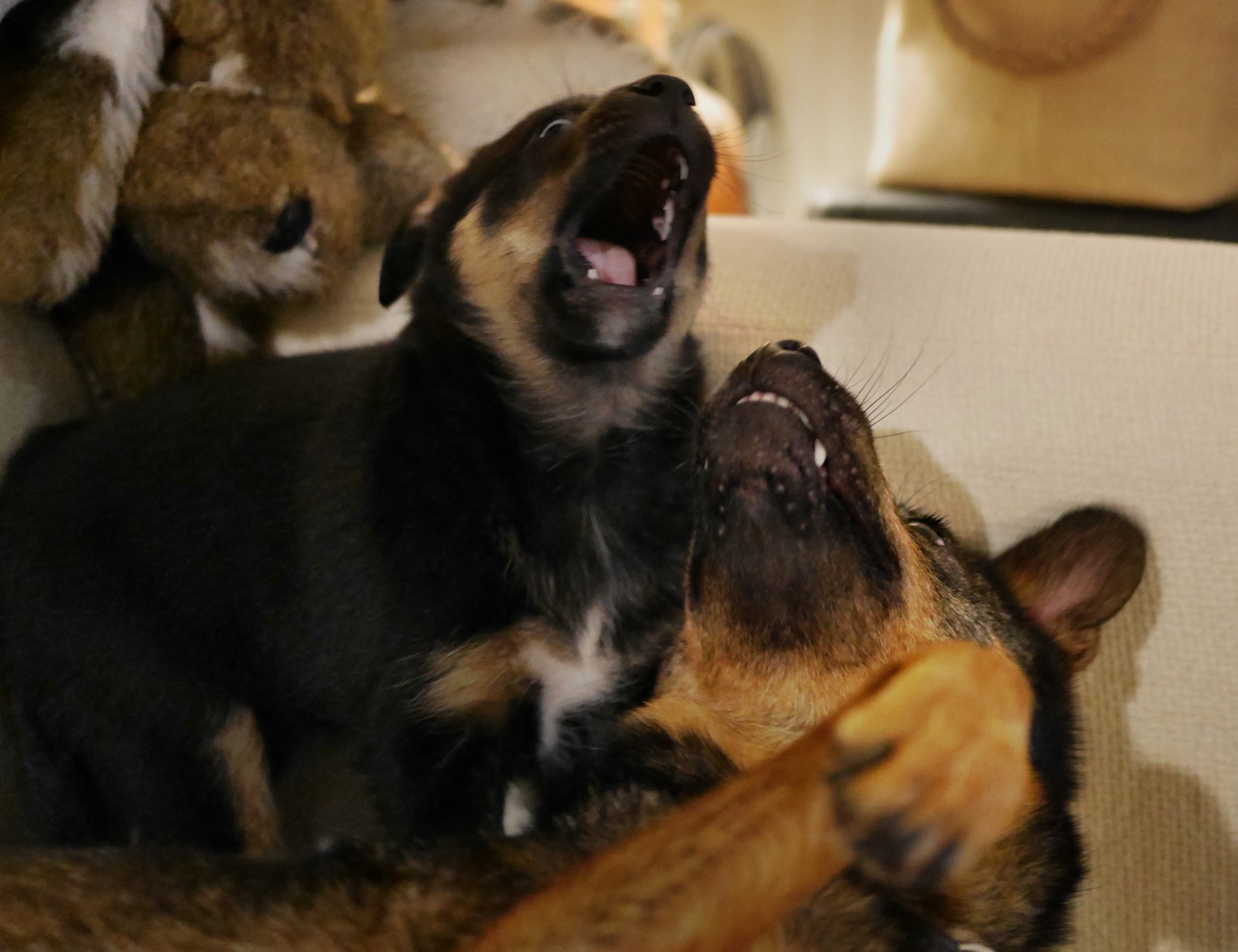 Moni und Mama Tiny