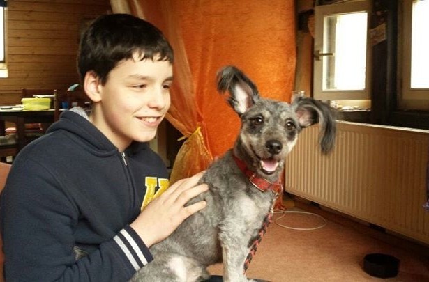 Eddie sucht ein neues Zuhause