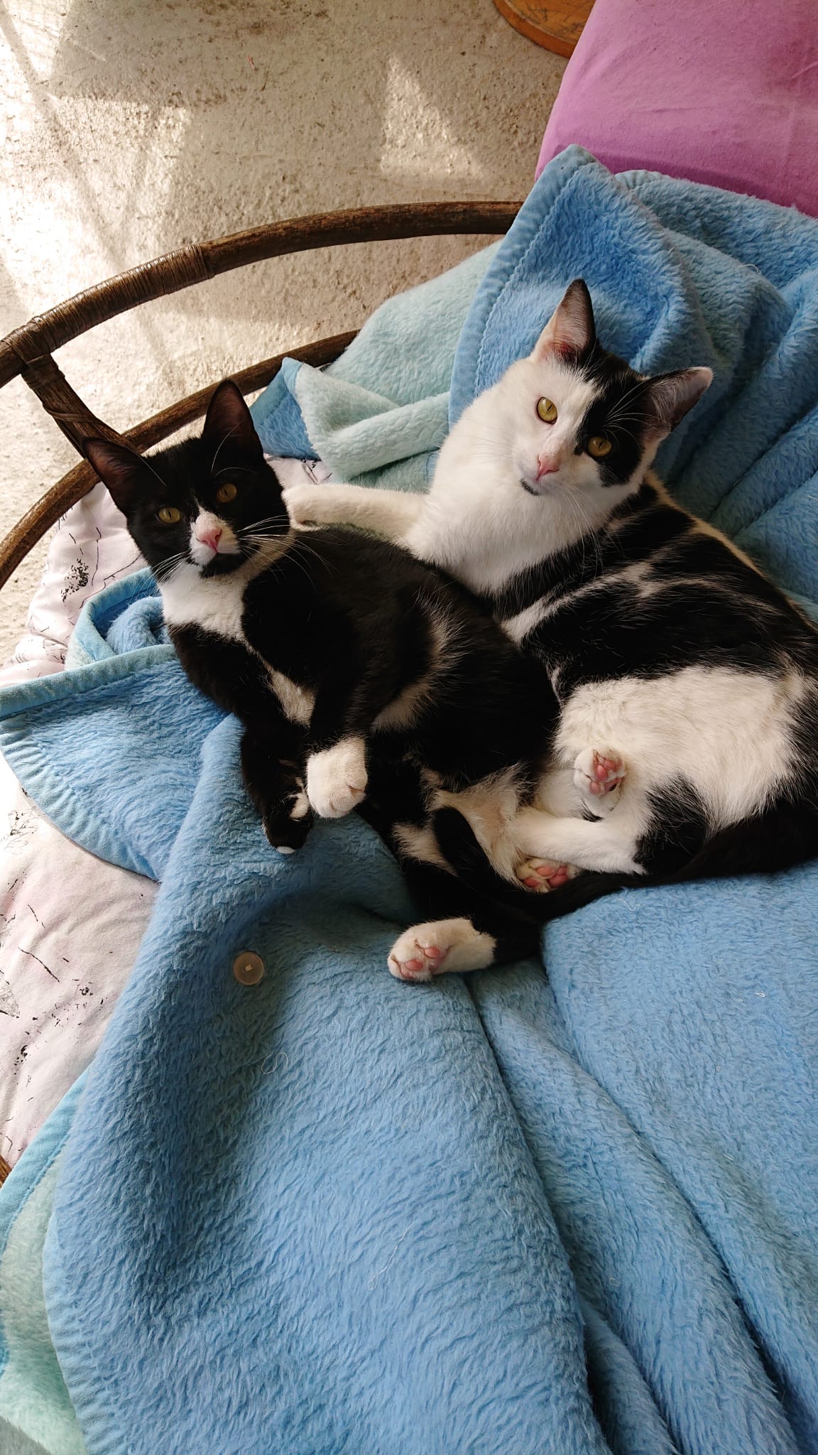 Anton und Konrad